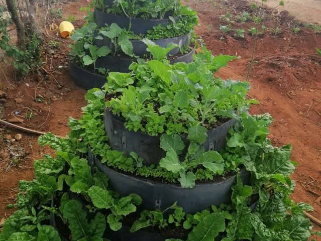 Climate-Smart Agriculture